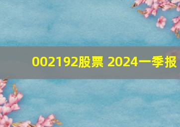 002192股票 2024一季报